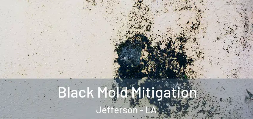  Black Mold Mitigation Jefferson - LA