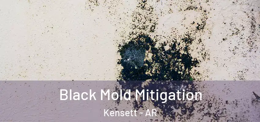 Black Mold Mitigation Kensett - AR