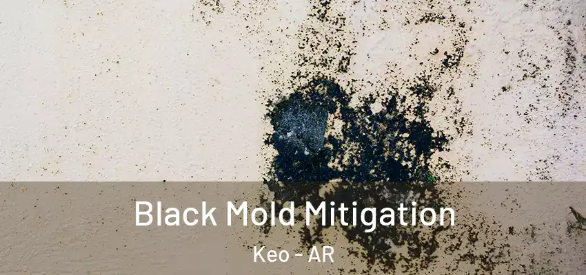  Black Mold Mitigation Keo - AR