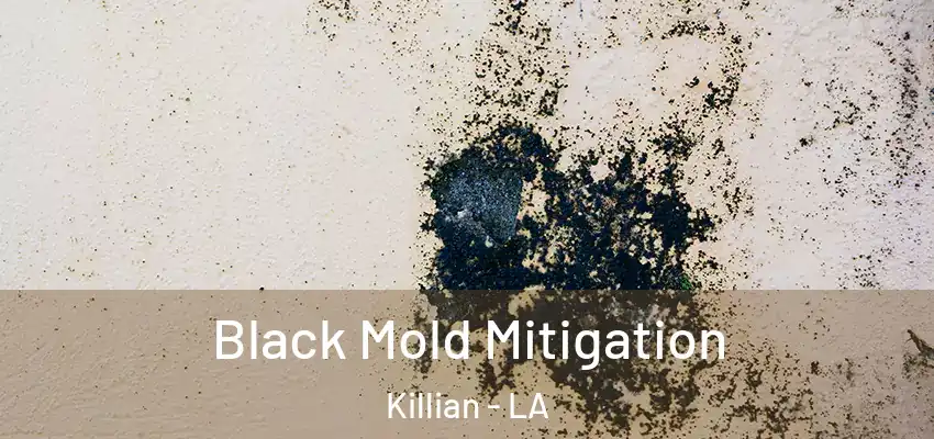 Black Mold Mitigation Killian - LA