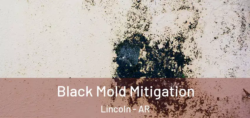 Black Mold Mitigation Lincoln - AR