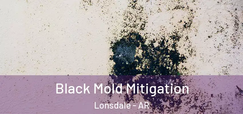  Black Mold Mitigation Lonsdale - AR