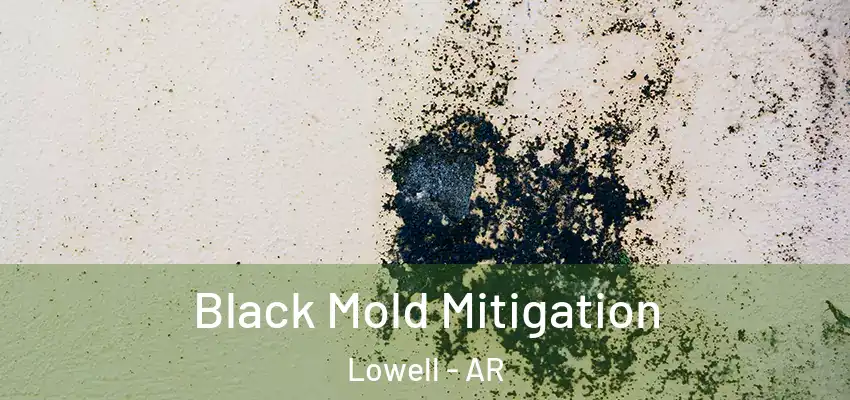 Black Mold Mitigation Lowell - AR