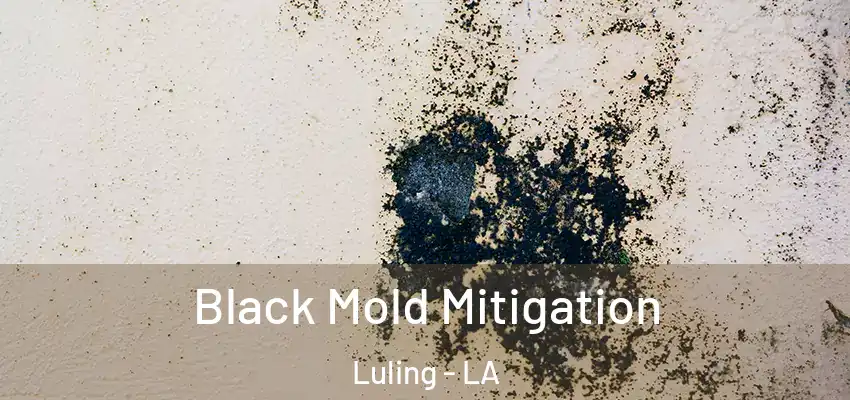Black Mold Mitigation Luling - LA