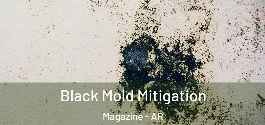  Black Mold Mitigation Magazine - AR