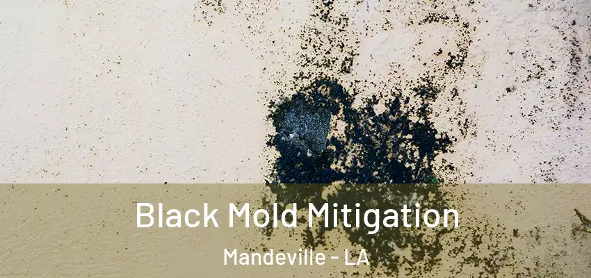  Black Mold Mitigation Mandeville - LA