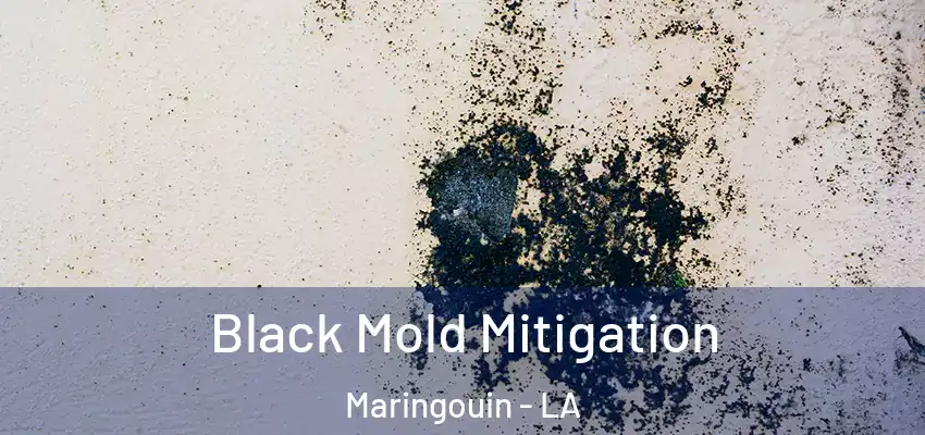  Black Mold Mitigation Maringouin - LA