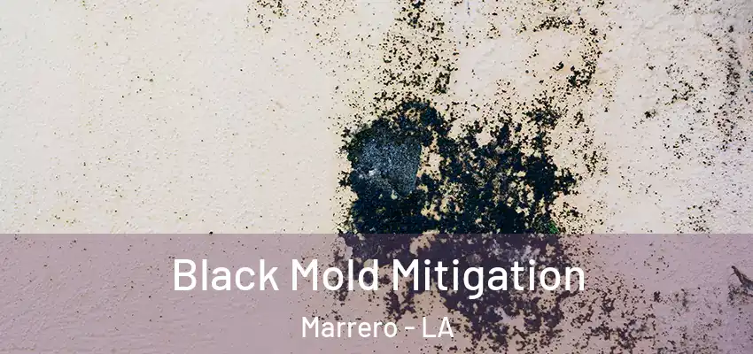  Black Mold Mitigation Marrero - LA