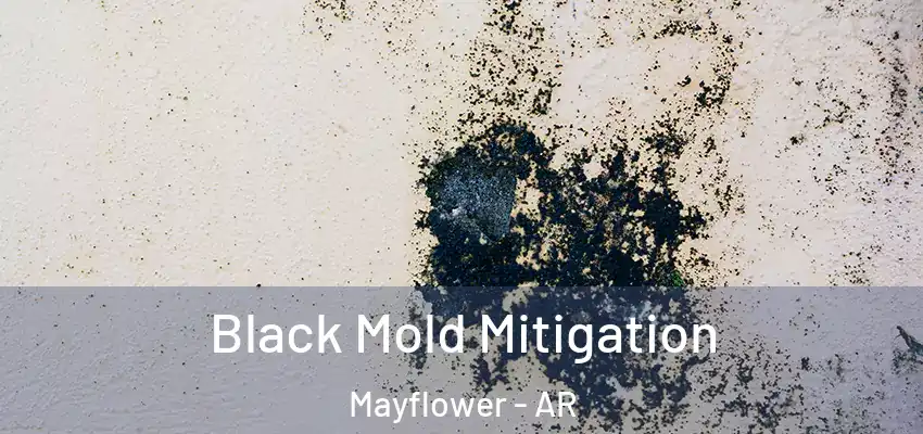  Black Mold Mitigation Mayflower - AR