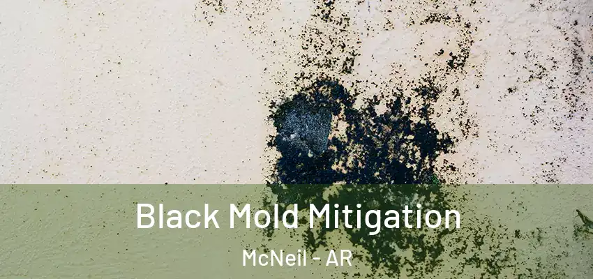  Black Mold Mitigation McNeil - AR