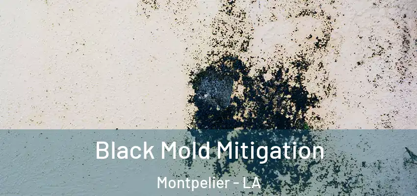  Black Mold Mitigation Montpelier - LA