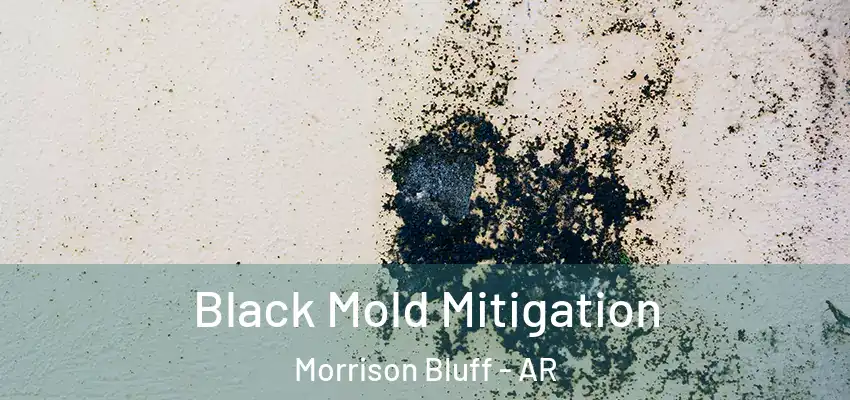 Black Mold Mitigation Morrison Bluff - AR