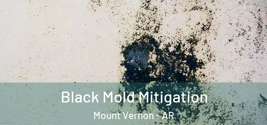  Black Mold Mitigation Mount Vernon - AR