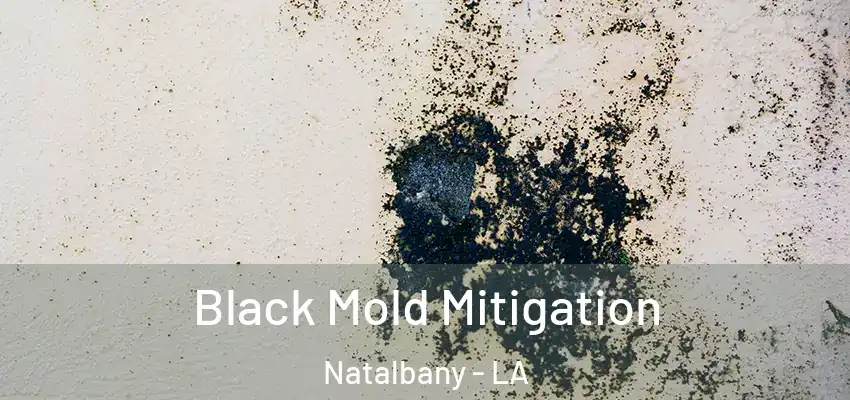  Black Mold Mitigation Natalbany - LA
