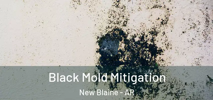  Black Mold Mitigation New Blaine - AR