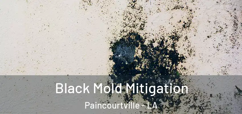  Black Mold Mitigation Paincourtville - LA