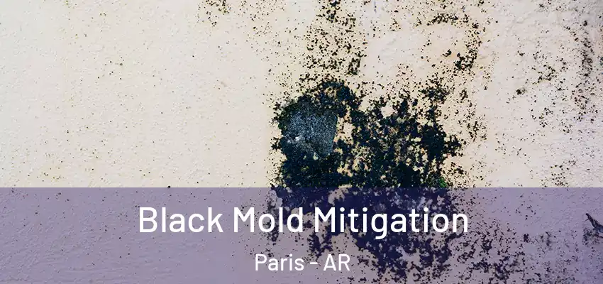  Black Mold Mitigation Paris - AR