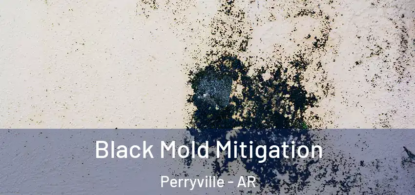  Black Mold Mitigation Perryville - AR