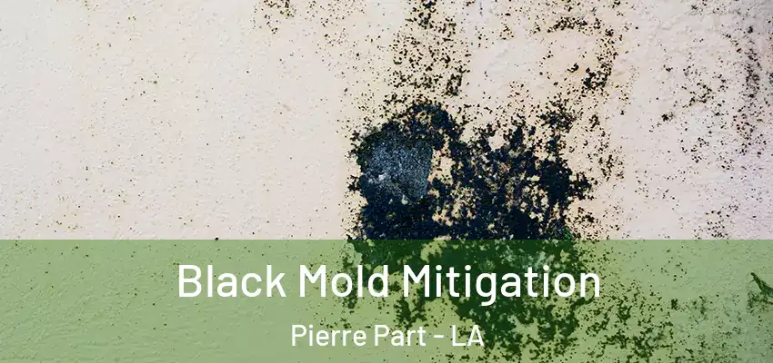  Black Mold Mitigation Pierre Part - LA