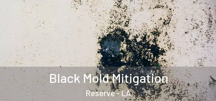  Black Mold Mitigation Reserve - LA