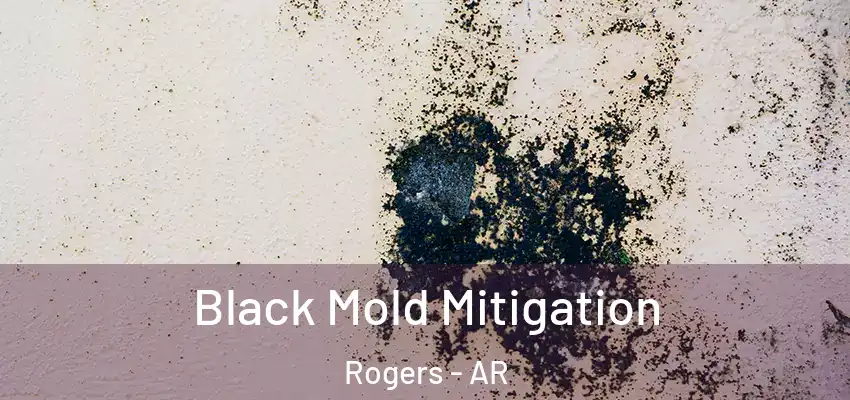 Black Mold Mitigation Rogers - AR