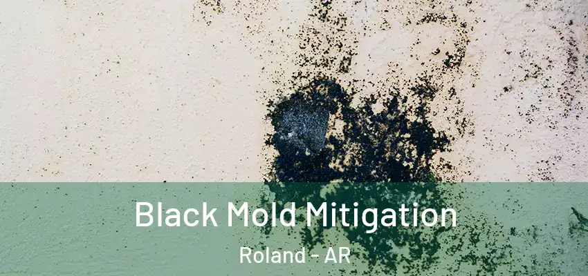  Black Mold Mitigation Roland - AR