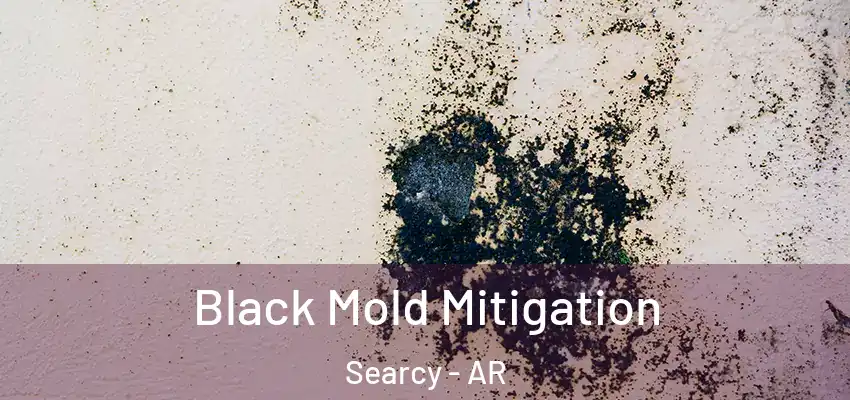  Black Mold Mitigation Searcy - AR