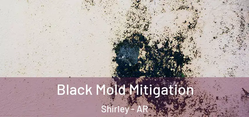  Black Mold Mitigation Shirley - AR