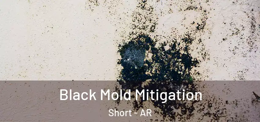  Black Mold Mitigation Short - AR