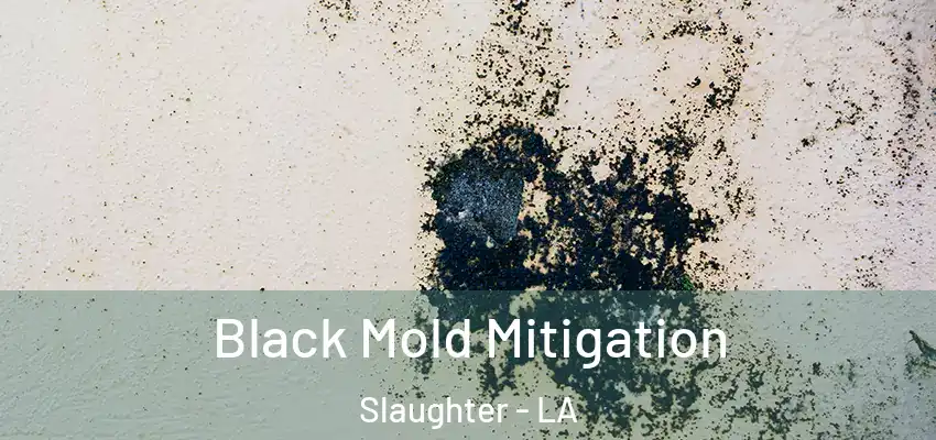  Black Mold Mitigation Slaughter - LA