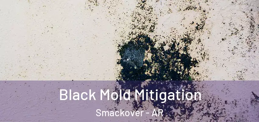  Black Mold Mitigation Smackover - AR