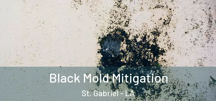  Black Mold Mitigation St. Gabriel - LA