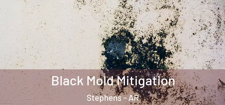 Black Mold Mitigation Stephens - AR