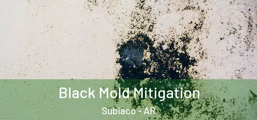  Black Mold Mitigation Subiaco - AR