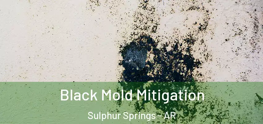 Black Mold Mitigation Sulphur Springs - AR