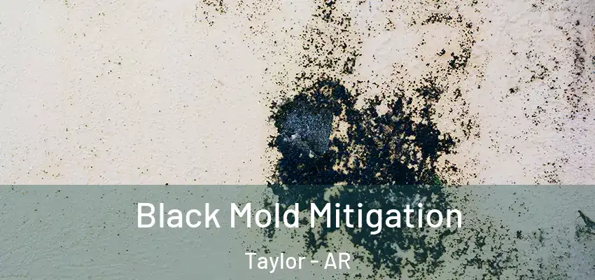  Black Mold Mitigation Taylor - AR
