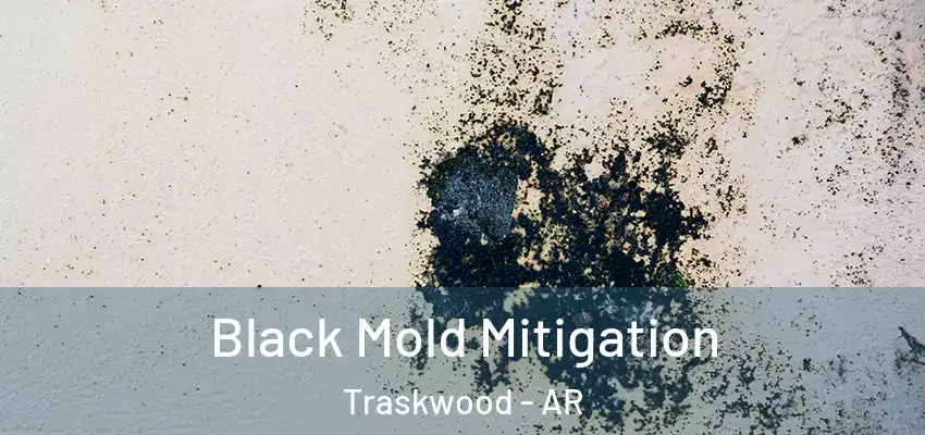  Black Mold Mitigation Traskwood - AR