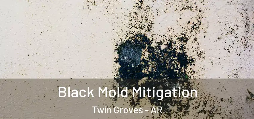  Black Mold Mitigation Twin Groves - AR
