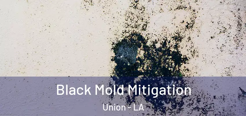 Black Mold Mitigation Union - LA