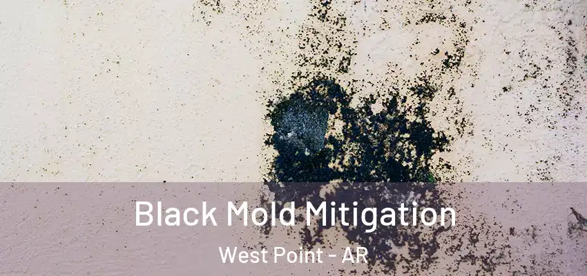  Black Mold Mitigation West Point - AR