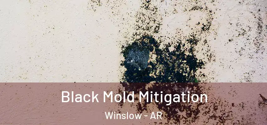  Black Mold Mitigation Winslow - AR