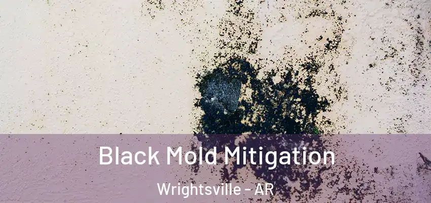 Black Mold Mitigation Wrightsville - AR