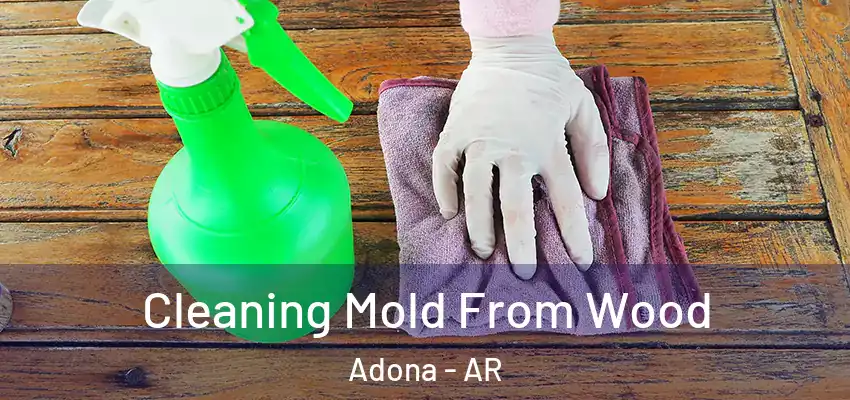  Cleaning Mold From Wood Adona - AR