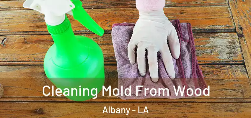  Cleaning Mold From Wood Albany - LA