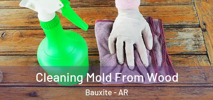  Cleaning Mold From Wood Bauxite - AR