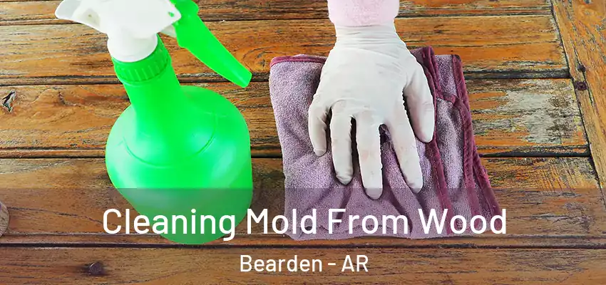  Cleaning Mold From Wood Bearden - AR