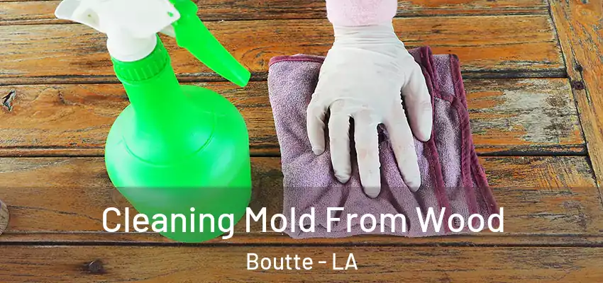 Cleaning Mold From Wood Boutte - LA