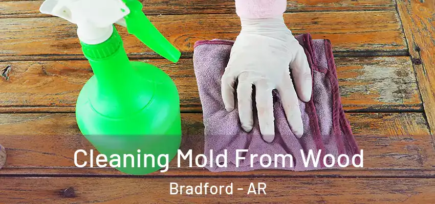  Cleaning Mold From Wood Bradford - AR