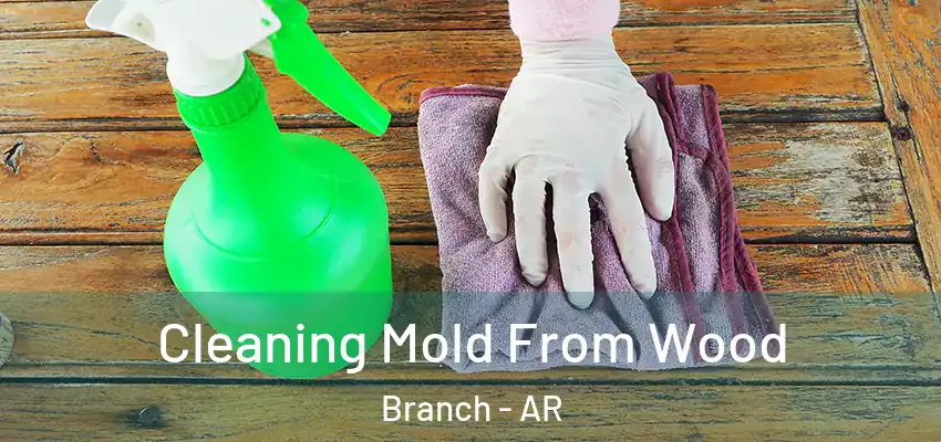  Cleaning Mold From Wood Branch - AR