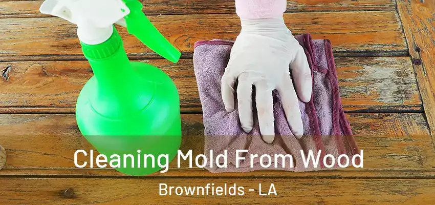  Cleaning Mold From Wood Brownfields - LA